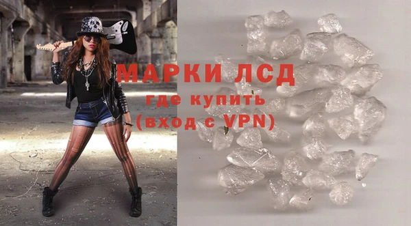 прущие грибы Абдулино